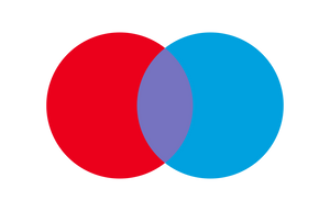 Payment Icon